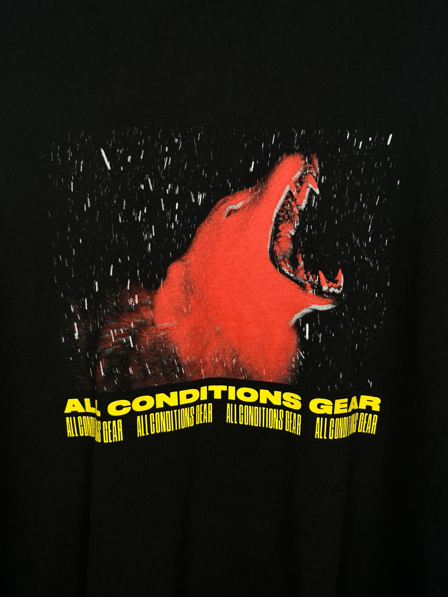 Nike ACG Wolf Print T-Shirt